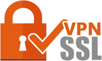 SSL VPN